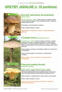 grzyby-jadanlne kopia.jpg