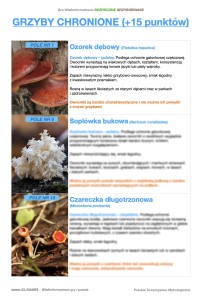 grzyby-chronione kopia.jpg