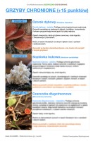 grzyby-chronione kopia.jpg