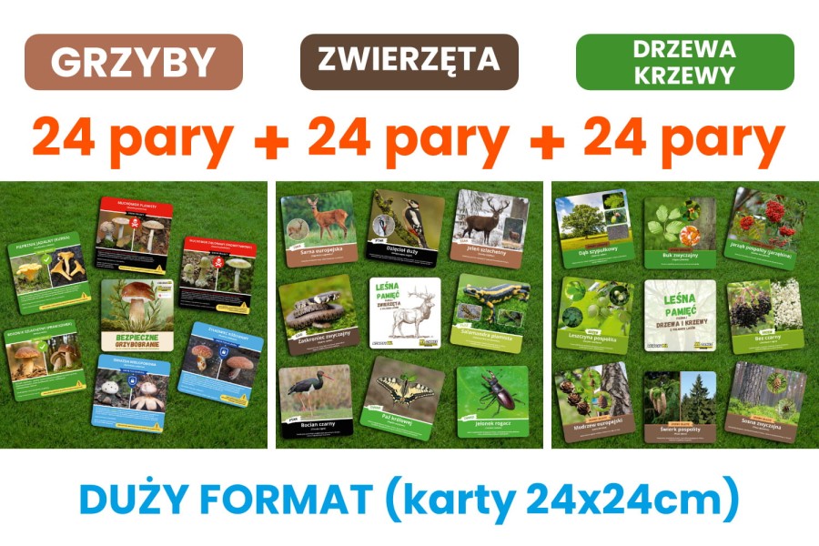 ZESTAW: LEŚNE MEMORY XL - 3 tematyki (grzyby, zwierzęta, drzewa i krzewy)