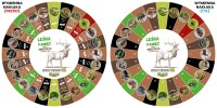 Koło Wiedzy XL - Leśne (Zwierzęta) - nakładka dwustronna.jpg